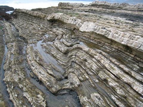 Monterey Formation, Shell Beach