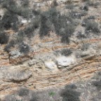 Dolomite nodules in thin-bedded porcelanite, Palos Verdes