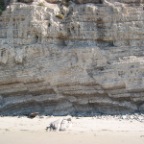 Normal faults and detachment zone