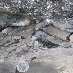 Brecciated siliceous shale