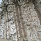 Calcareous porcelanite and shale