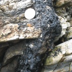 Oil-oozing fracture, Shell Beach