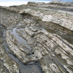 fold and incipient faulting, Shell Beach