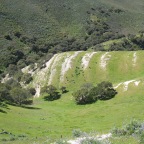 Uppermost opal-CT porcelanite beds, Casmalia Hills