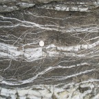 Carbonate-filled veins, Carpenteria