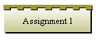 Assignment 1