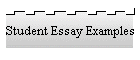 Student Essay Examples