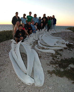 class and whale skeleton