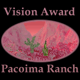 Vision Award