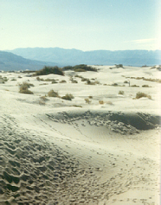 [ Death Valley dunefield, C.M. Rodrigue, 1983 ]