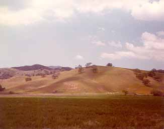 [ oak park on hills in Las Virgenes Valley, 
C.M. Rodrigue, 1978 ]