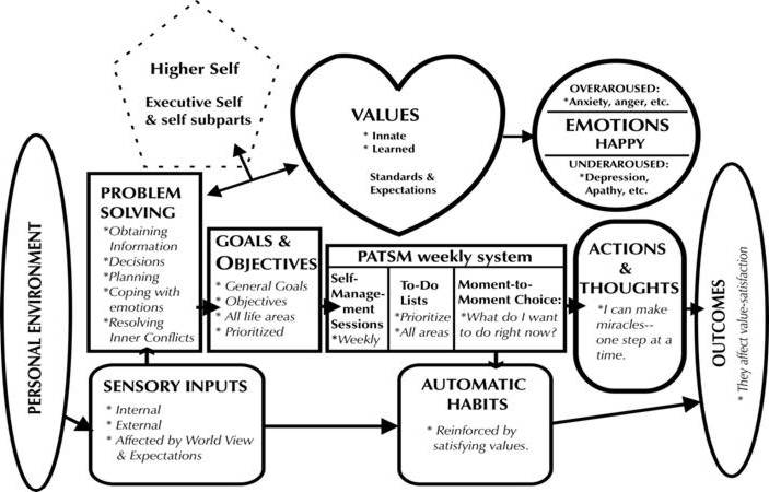 Self value. Self value самоценность. Value Action gap. Value-Action gap books. Municipal self Management.